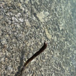 South Bass Island State Park - Water