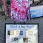 Fernandina Beach Arts Market
