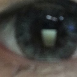 Grey color. So pretty! Shows up on my dark brown eyes