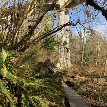 Saltwater State Park - Passing under a bridge - Parks Near Me - Des Moines, Washington Saltwater State Park - Passing under a bridge - Parks Near Me - Des Moines, Washington