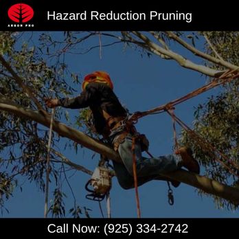 Arbor Pro - Hazard Reduction Pruning - Tree Services Near Me - Martinez, California Arbor Pro - Hazard Reduction Pruning - Tree Services Near Me - Martinez, California