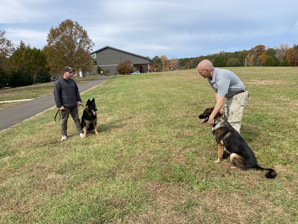 Audrey's Barkyard - pet boarding facility in Wake Forest, NC