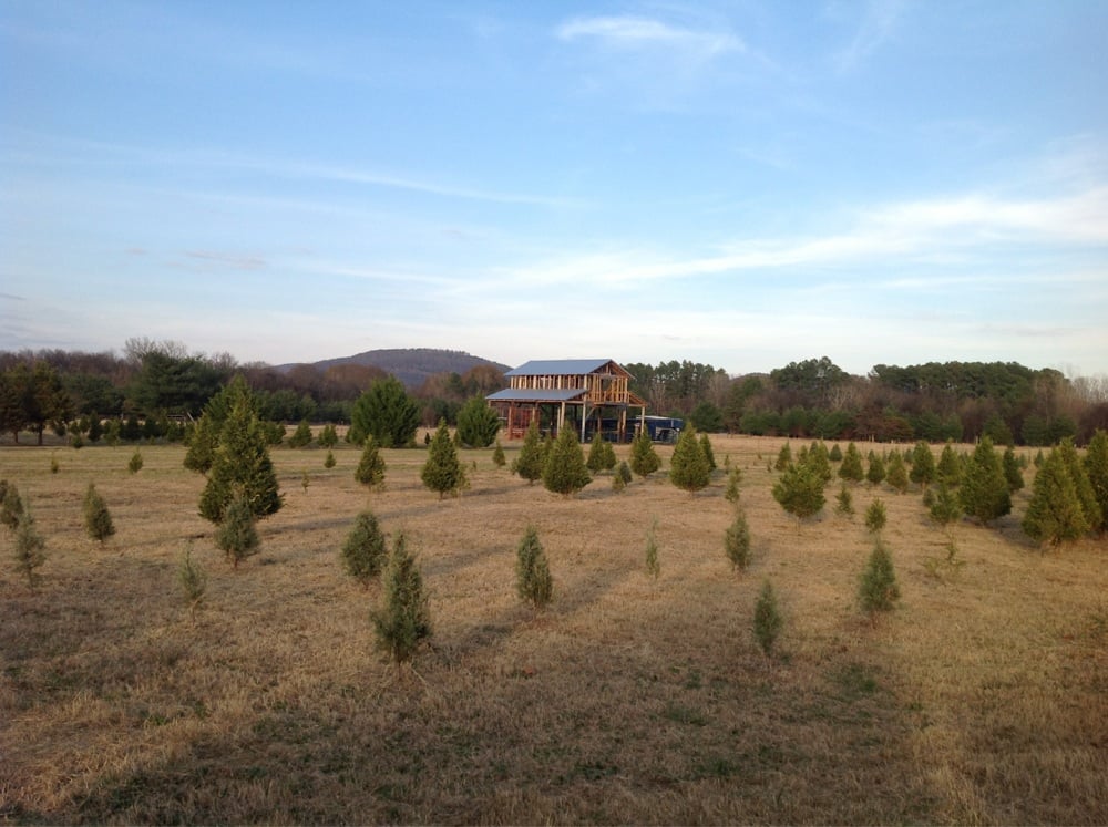 SCHWERMAN CHRISTMAS TREE FARM Updated August 2024 1383 McCutcheon Lp Rd, Laceys Spring