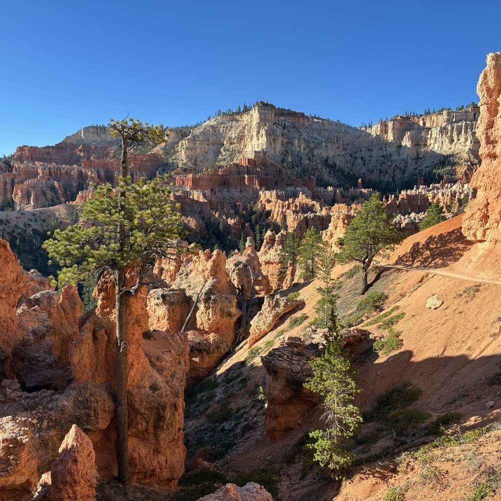 Bryce Canyon National Park - Views along the way :) - Parks Near Me Bryce Canyon National Park - Views along the way :) - Parks Near Me