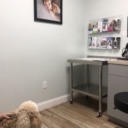 East Coast Animal Hospital