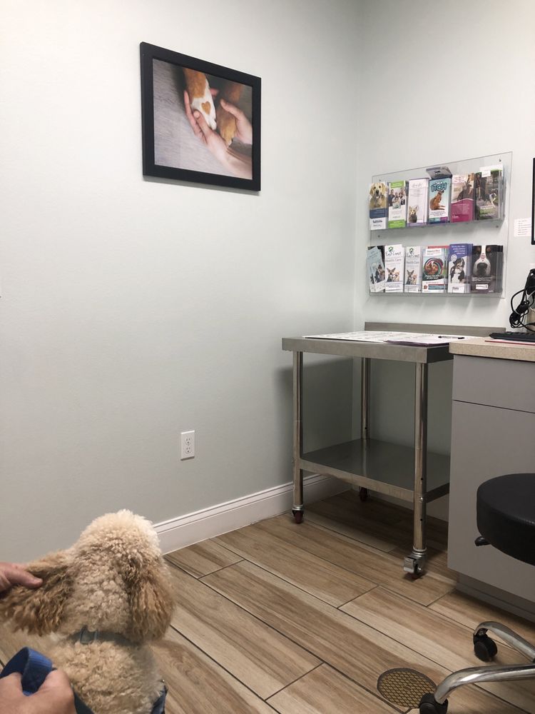 East Coast Animal Hospital Image