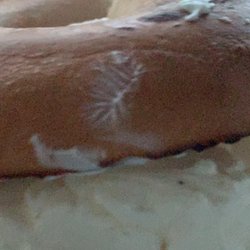 A WHOLE BUNCH OF CREAM CHEESE LOOKS LIKE AN ICECREAM SANDWICH BE FOR REAL