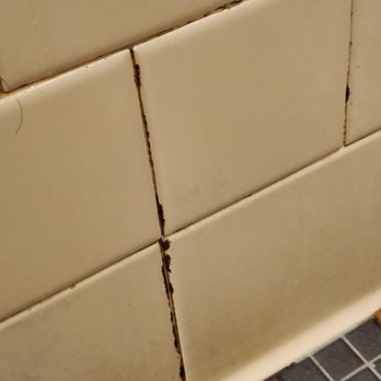 LA Fitness - Mold in men's shower - Trainers Near Me - Commack, New York LA Fitness - Mold in men's shower - Trainers Near Me - Commack, New York