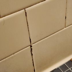 LA Fitness - Mold in men's shower