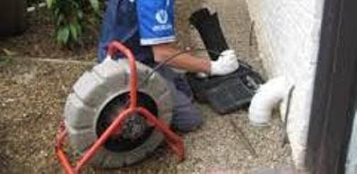 Slide of G&P Root Raiders