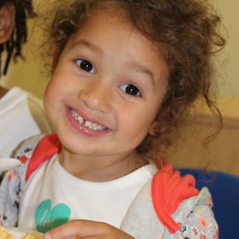 The Discovery Tree Academy - Preschools Near Me - Jacksonville, Florida The Discovery Tree Academy - Preschools Near Me - Jacksonville, Florida