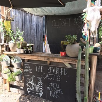 The Bearded Cactus - Coffee & Tea Near Me - East Maitland, NSW The Bearded Cactus - Coffee & Tea Near Me - East Maitland, NSW