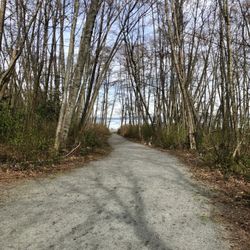 Dumas Bay Sanctuary - Almost to the water