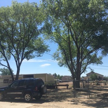 Battle Born Tree Service - Side yard with power lines trimmed up. - Tree Services Near Me - Carson City, Nevada