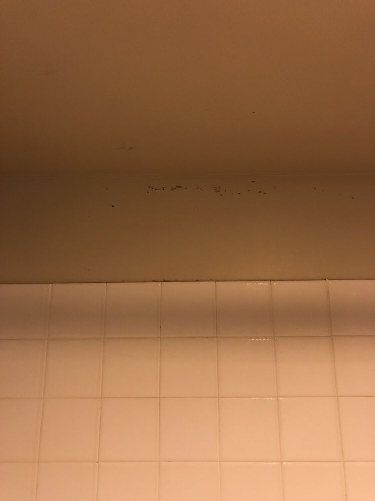 PYRAMID 19 Photos & 19 Reviews 9500 Coastal Hwy, Ocean City