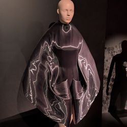 Brooklyn Museum - September 26, 2026; Iris Van Herpen.