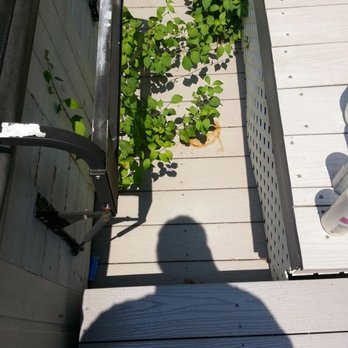 Handyman At Your Command - Deck refinishing contrast - Painters Near Me - Bethesda, Maryland