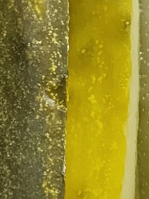 Stone Mill BBQ and Steakhouse by null