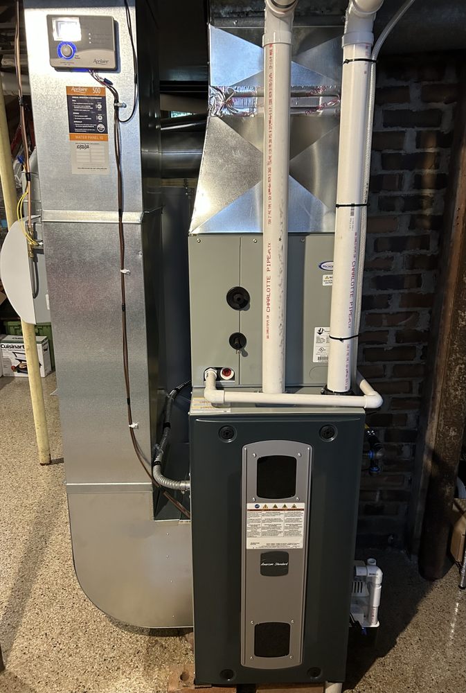 Slide of Ursidae Mechanical