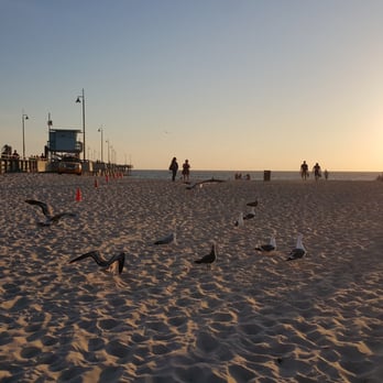 Venice Statepark - Beaches Near Me - Venice, California Venice Statepark - Beaches Near Me - Venice, California
