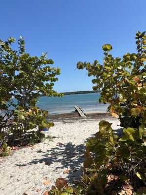 Historic Virginia Key Beach Park by null