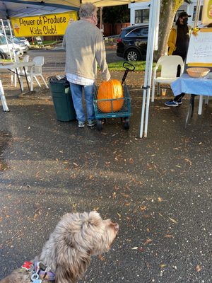 Sellwood Moreland Farmers Market by null