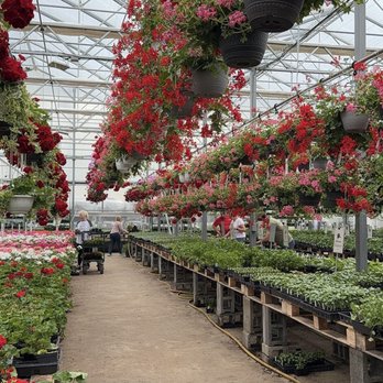 Glick's Greenhouse - Nurseries & Gardening Near Me - Oley, Pennsylvania Glick's Greenhouse - Nurseries & Gardening Near Me - Oley, Pennsylvania