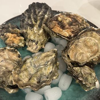 Minterbrook Oyster - Seafood Markets Near Me - Gig Harbor, Washington Minterbrook Oyster - Seafood Markets Near Me - Gig Harbor, Washington