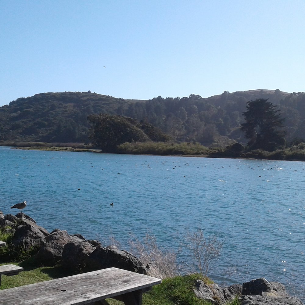 Tasting by the Sea Wine Bar - Wine Bars Near Me - Jenner, California Tasting by the Sea Wine Bar - Wine Bars Near Me - Jenner, California