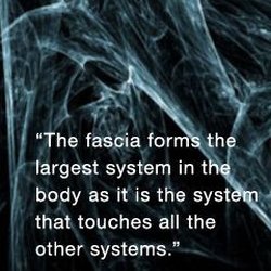 Jen Keitzman, LMT - Fascia is the tensional network which covers the whole human body. EVERYTHING is connected.