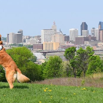 Mello Mutts - Pet Training Near Me Mello Mutts - Pet Training Near Me
