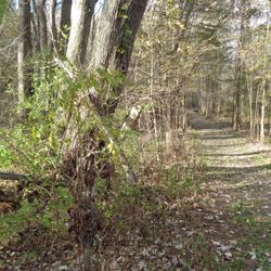 Meridian-Baseline Historic State Park
