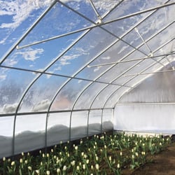 Everything Botanical - Our on site greenhouse