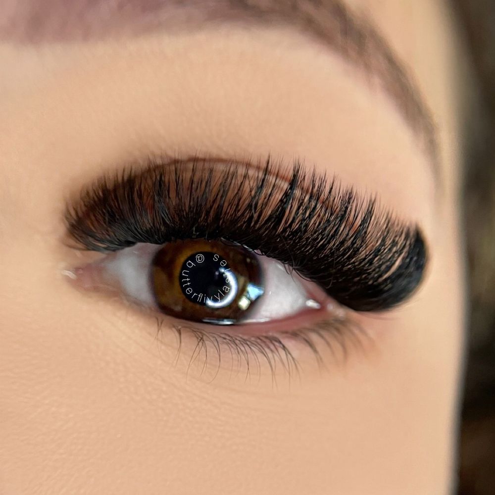 Butterfliyy Lashes Logo