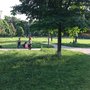 Photo of Böckingpark