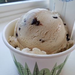 Chocolate Chip