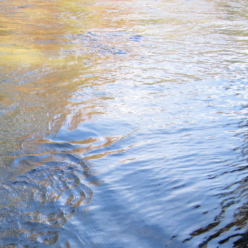 Peter Cashorali, LMFT - grief counselor in Pasadena, CA