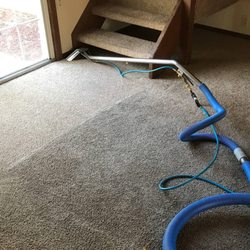 WMD Carpet Cleaning & Professional Services 