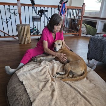 Canine Visions - Judith working the entire body - Holistic Animal Care Near Me - Kihei, Hawaii Canine Visions - Judith working the entire body - Holistic Animal Care Near Me - Kihei, Hawaii
