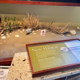 #assateaguenps #assateagueisland #assateagueislandvisitorcenter #assateagueislandnationalseashore #marylandbeach #preservefootprints #assateaguenps #assateagueisland #assateagueislandvisitorcenter #assateagueislandnationalseashore #marylandbeach #preservefootprints