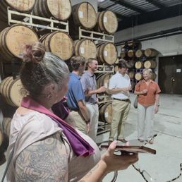 Barrel tasting Barrel tasting