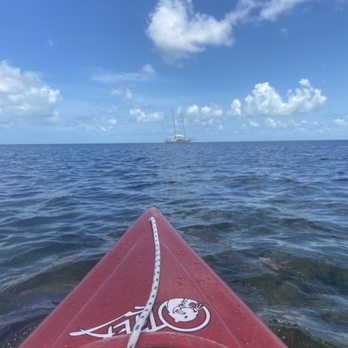 Danger Charters - The kayak portion of this excursion was so great. We saw plenty of birds and wildlife! - Rafting/Kayaking Near Me - Key West, Florida