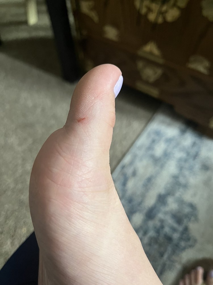 PERFECTION NAILS - Updated December 2024 - 24 Reviews - 2836 Fletcher Pkwy, El Cajon, California