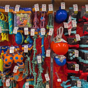 PetSmart - Dog toys 2 - 2/2026 - Pet Training Near Me - Dublin, California