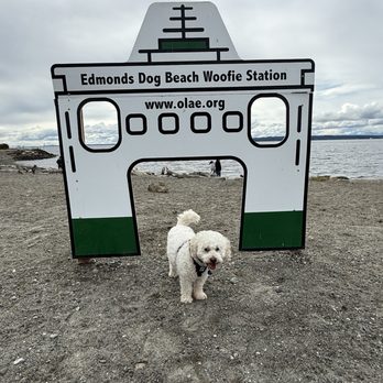 Off Leash Area Edmonds - Dog Parks Near Me - Edmonds, Washington