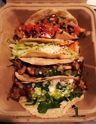 Poblano Pepper by null