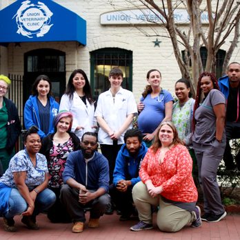 Union Veterinary Clinic - The staff at Union Veterinary Clinic. - Veterinarians Near Me - Washington, DC, District of Columbia