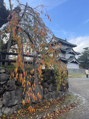 Hirosaki Castle by null