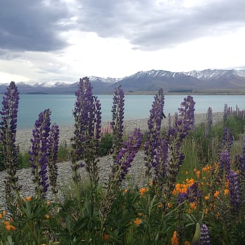 Lake Tekapo - Lakes Near Me - Lake Tekapo, CAN Lake Tekapo - Lakes Near Me - Lake Tekapo, CAN