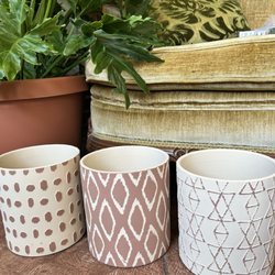 Plant Parlor